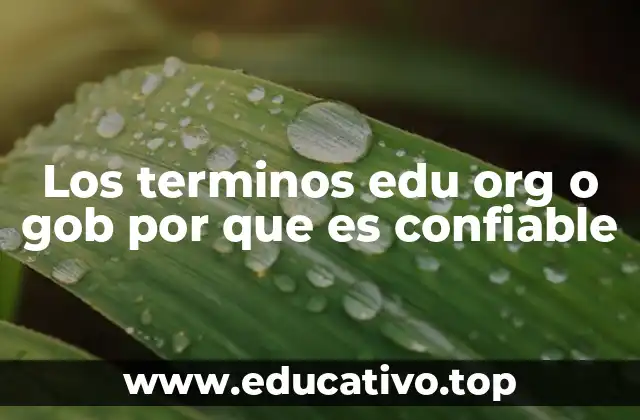 Los terminos edu org o gob por que es confiable