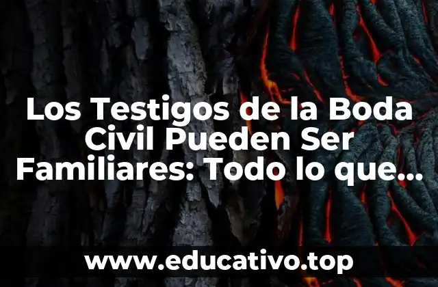 Los Testigos de la Boda Civil Pueden Ser Familiares: Todo lo que Necesitas Saber