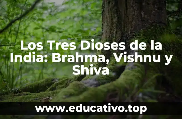 Los Tres Dioses de la India: Brahma, Vishnu y Shiva