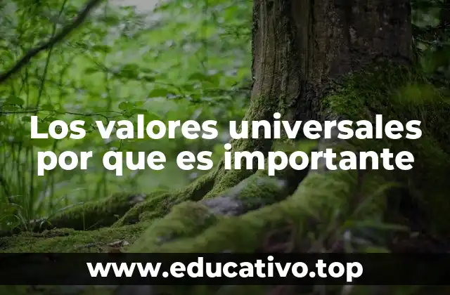 Los valores universales por que es importante