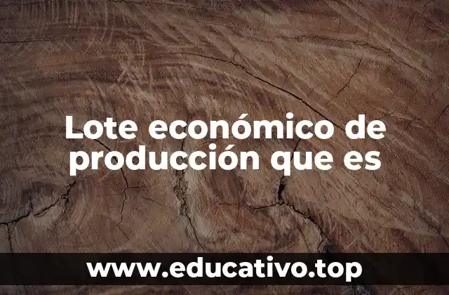 Lote económico de producción que es