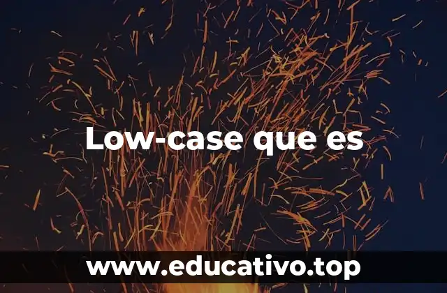 Low-case que es
