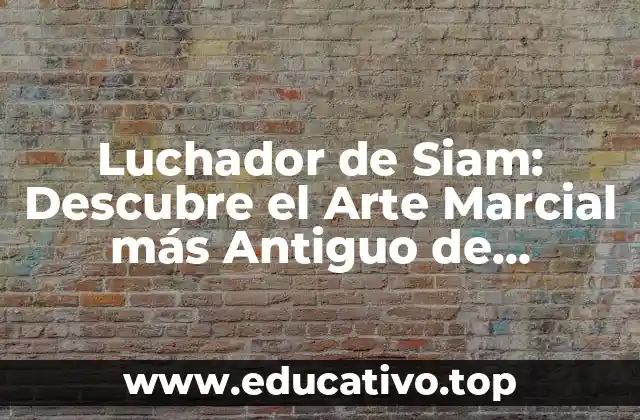 Luchador de Siam: Descubre el Arte Marcial más Antiguo de Tailandia