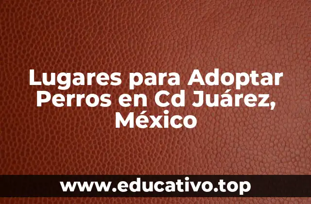 Lugares para Adoptar Perros en Cd Juárez, México
