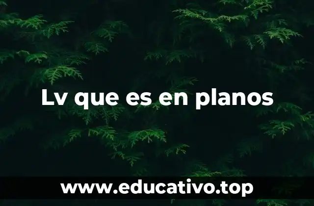 Uso del LV en el contexto de la cota topográfica