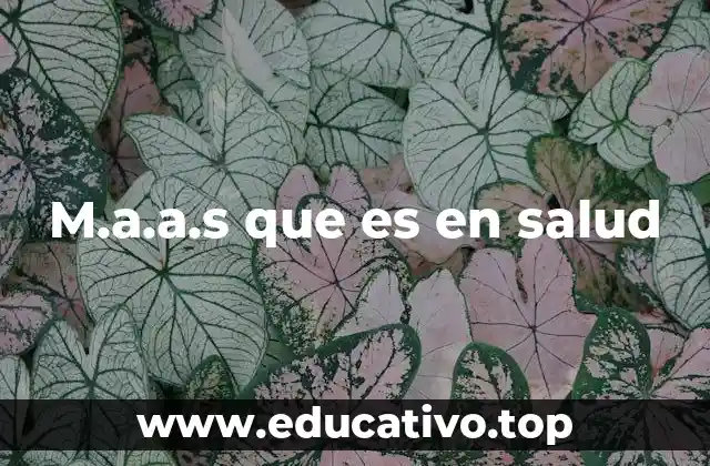 M.a.a.s que es en salud