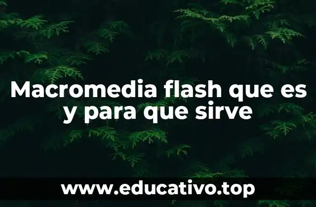 Macromedia flash que es y para que sirve