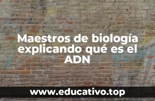 Maestros de biología explicando qué es el ADN