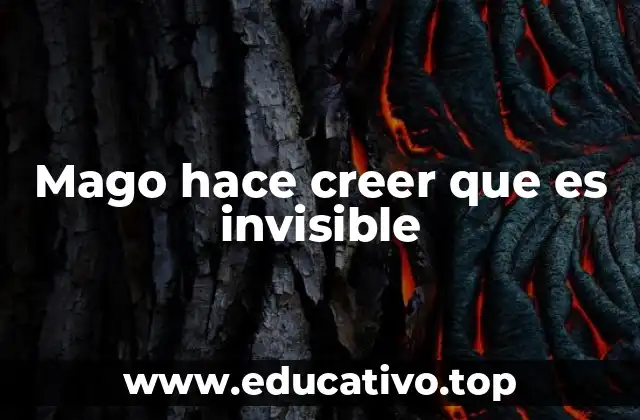 Mago hace creer que es invisible