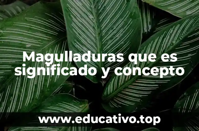 Causas y factores que predisponen a las magulladuras