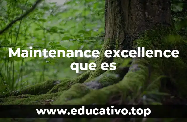 Maintenance excellence que es