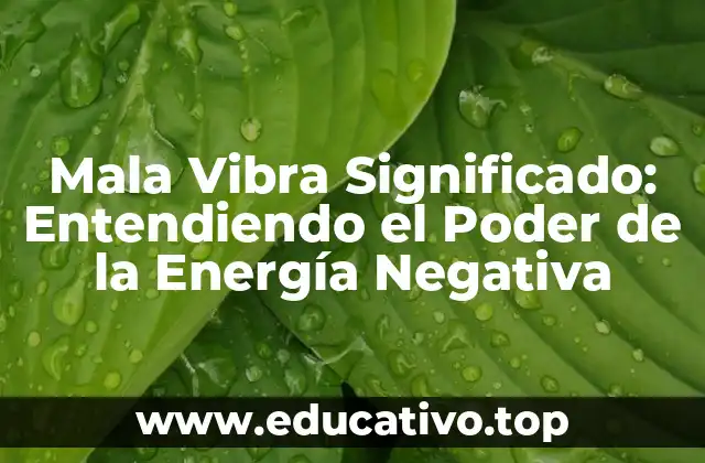Mala Vibra Significado: Entendiendo el Poder de la Energía Negativa