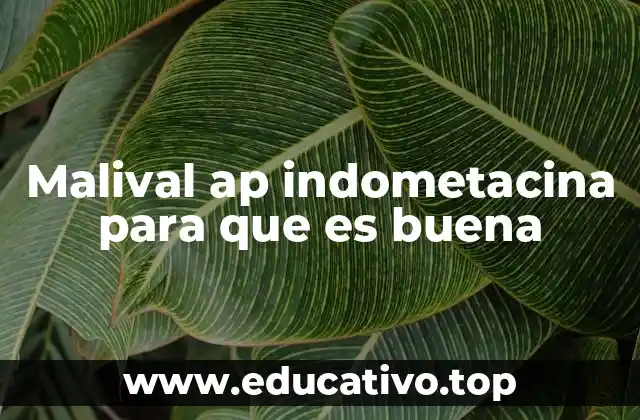 Malival ap indometacina para que es buena