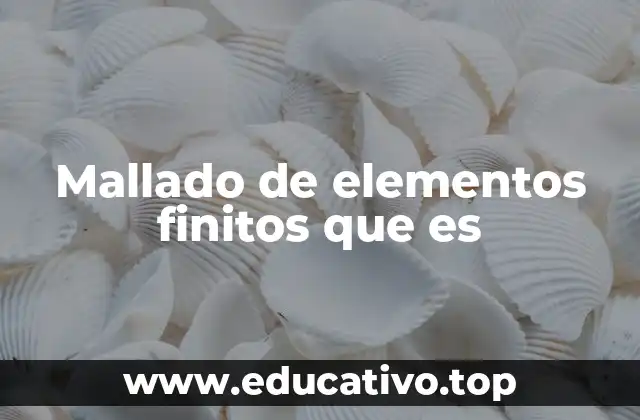 La importancia del mallado en simulaciones avanzadas