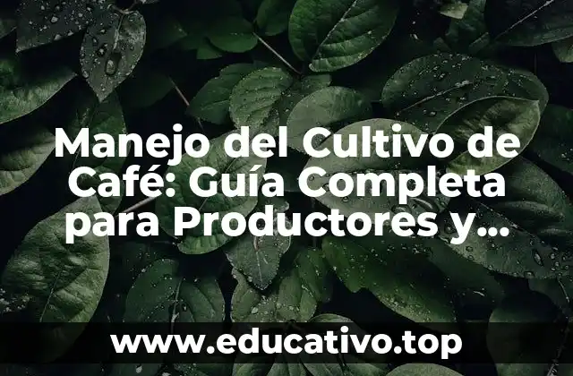Manejo del Cultivo de Café: Guía Completa para Productores y Amantes del Café