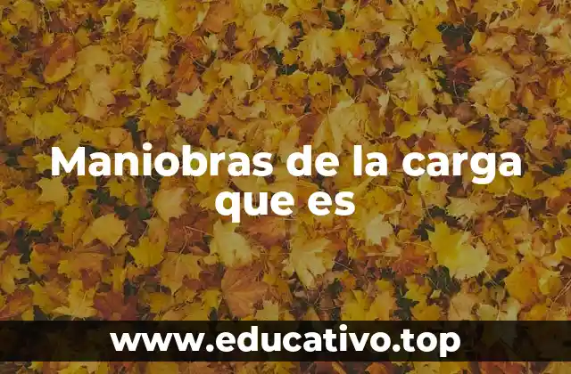 Maniobras de la carga que es