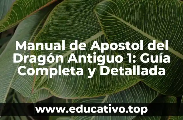 Manual de Apostol del Dragón Antiguo 1: Guía Completa y Detallada