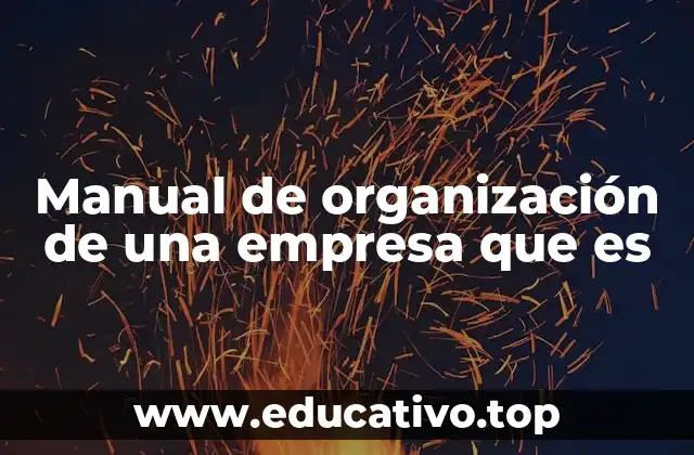Manual de organización de una empresa que es
