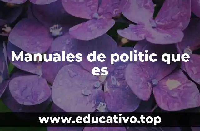 Manuales de politic que es