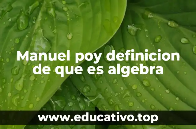Manuel poy definicion de que es algebra