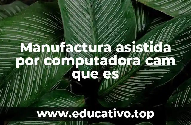 Manufactura asistida por computadora cam que es