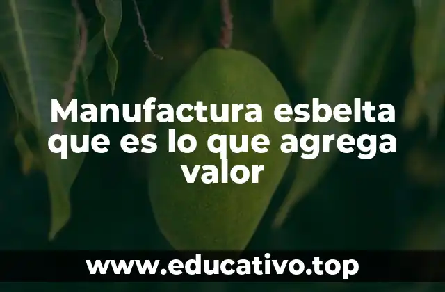 Manufactura esbelta que es lo que agrega valor