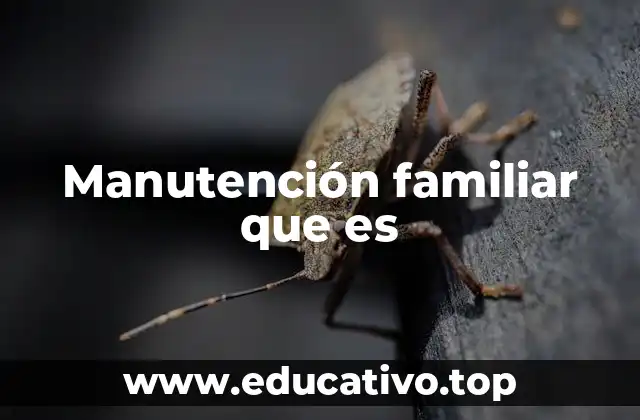 Manutención familiar que es