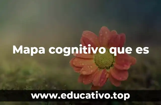 Mapa cognitivo que es