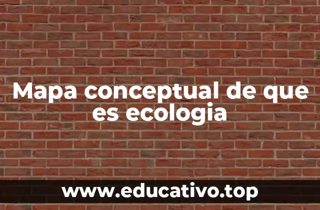 Mapa conceptual de que es ecologia