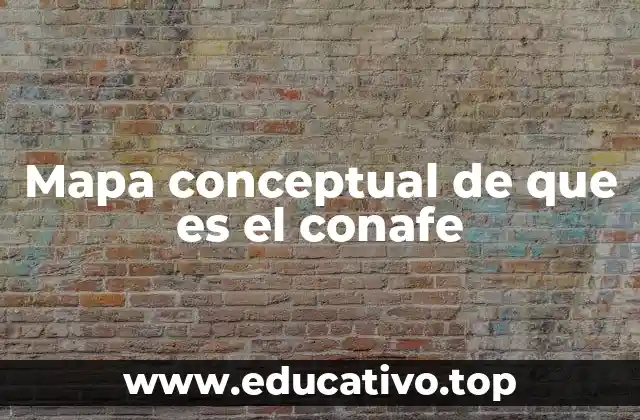 Mapa conceptual de que es el conafe