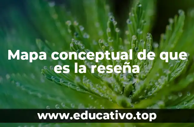 Mapa conceptual de que es la reseña