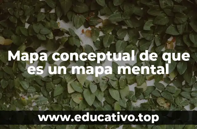 Mapa conceptual de que es un mapa mental