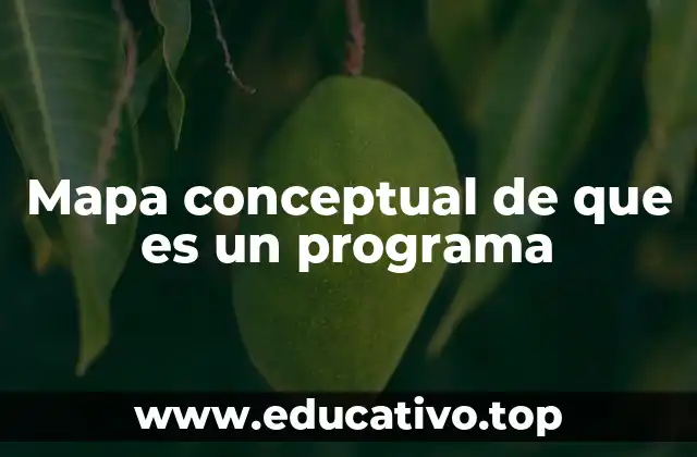 Mapa conceptual de que es un programa