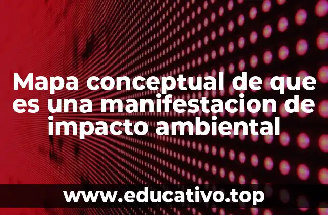 Cómo se relacionan las actividades humanas con los impactos ambientales