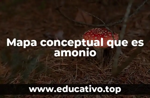 Mapa conceptual que es amonio