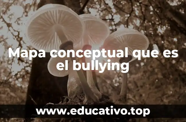 Mapa conceptual que es el bullying