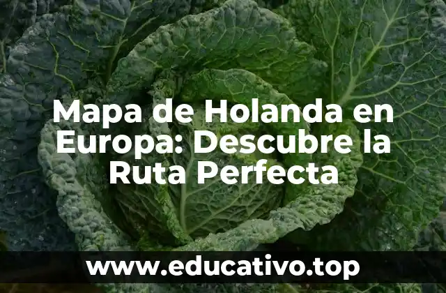 Mapa de Holanda en Europa: Descubre la Ruta Perfecta