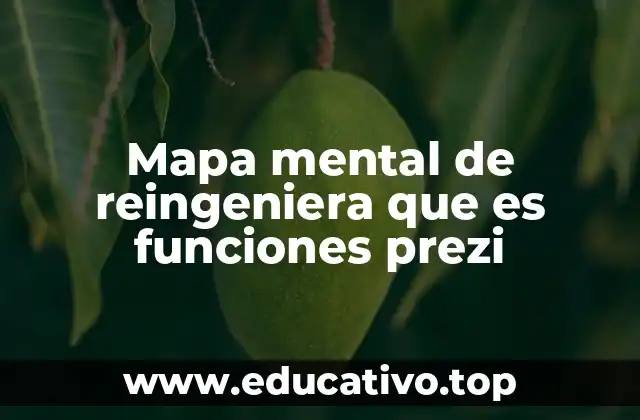 Mapa mental de reingeniera que es funciones prezi