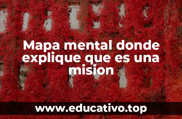 Mapa mental donde explique que es una mision