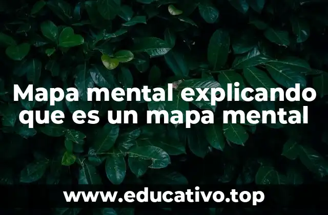 Mapa mental explicando que es un mapa mental
