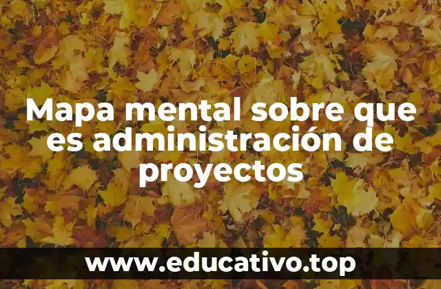 Mapa mental sobre que es administración de proyectos