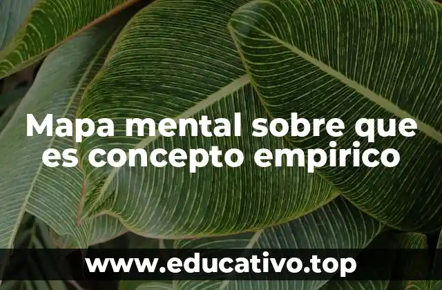 Mapa mental sobre que es concepto empirico