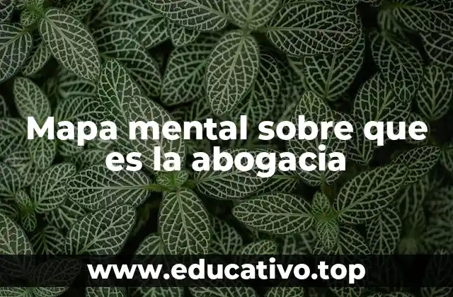 Mapa mental sobre que es la abogacia