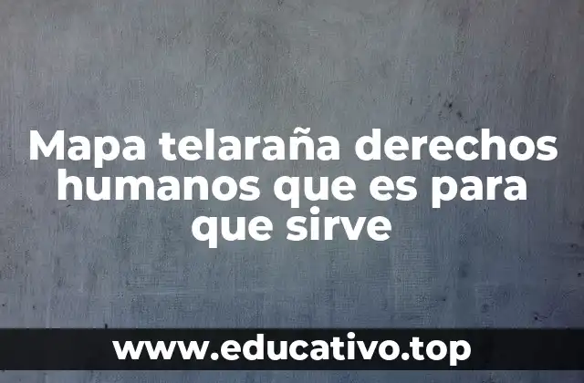 Mapa telaraña derechos humanos que es para que sirve