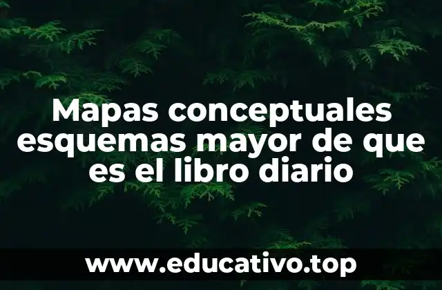 Mapas conceptuales esquemas mayor de que es el libro diario
