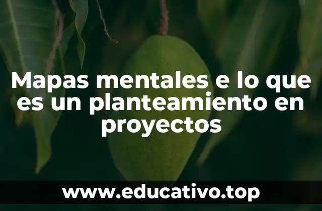 Mapas mentales e lo que es un planteamiento en proyectos