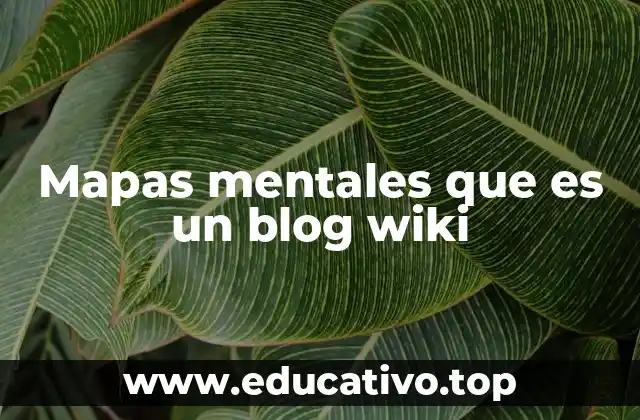 Mapas mentales que es un blog wiki