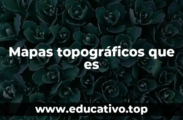 Mapas topográficos que es