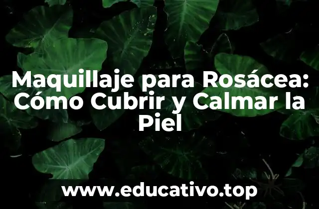 Maquillaje para Rosácea: Cómo Cubrir y Calmar la Piel