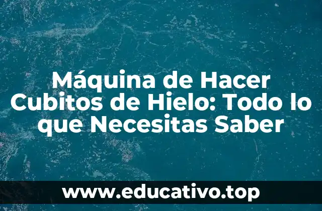 Máquina de Hacer Cubitos de Hielo: Todo lo que Necesitas Saber